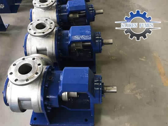 SS 304 SUS 316 316L Stainless Steel Gear Pumps